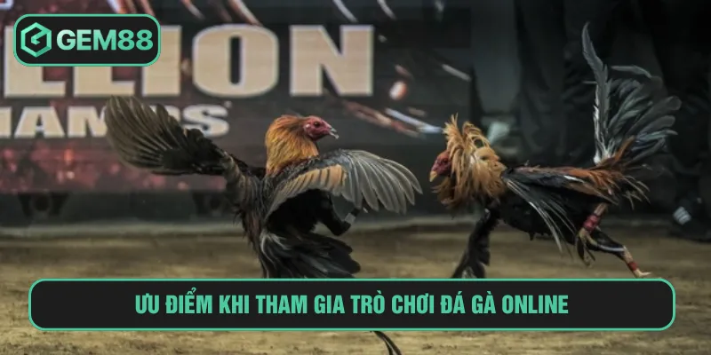 Đá Gà Online GEM88: Trải Nghiệm Sân Chơi Hấp Dẫn Nhất 2025 Người chơi được trải nghiệm truyền hình chất lượng tại GEM88