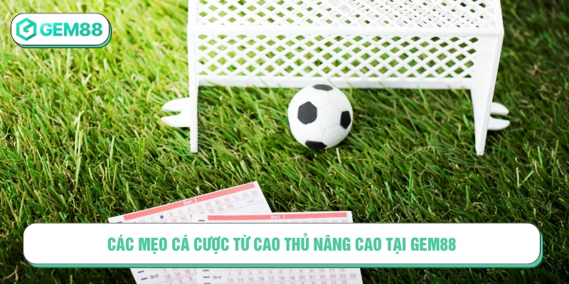 Mẹo Cá Cược Từ Cao Thủ Tối Ưu Cơ Hội Thắng Tại GEM88 Các mẹo cá cược từ cao thủ nâng cao tại GEM88