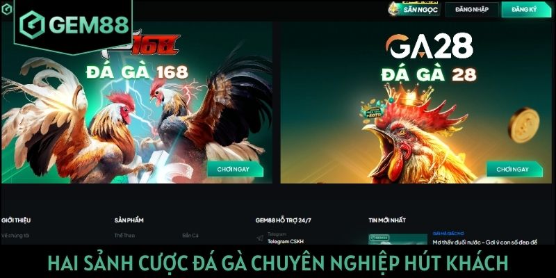 Hai sảnh cược đá gà chuyên nghiệp hút khách