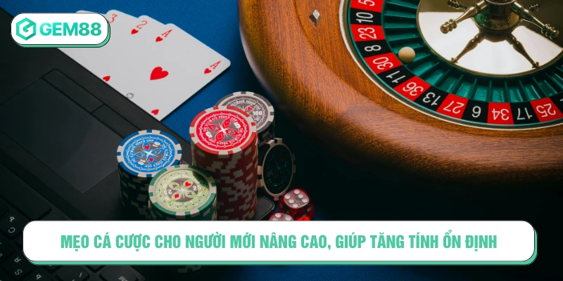 Mẹo Cá Cược Cho Người Mới - Bật Mí Tips Bổ Ích Tại GEM88 Mẹo cá cược cho người mới nâng cao, giúp tăng tính ổn định