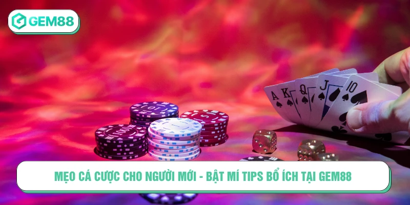 Mẹo Cá Cược Cho Người Mới - Bật Mí Tips Bổ Ích Tại GEM88 mẹo cá cược cho người mới
